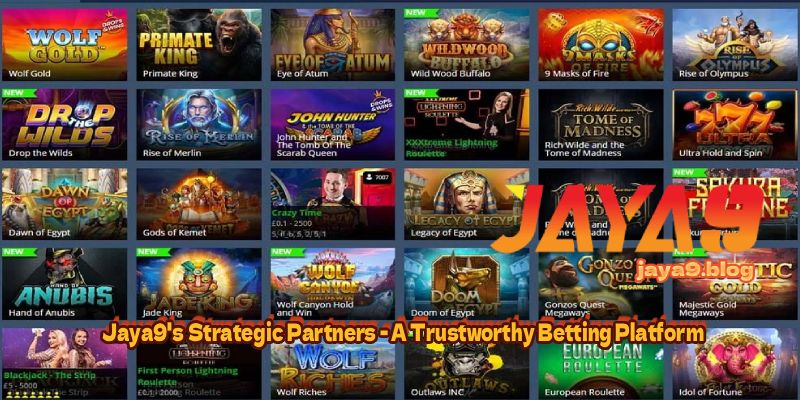 Mastering Bet Timing Strategy in Live Casinos for Maximum Profit